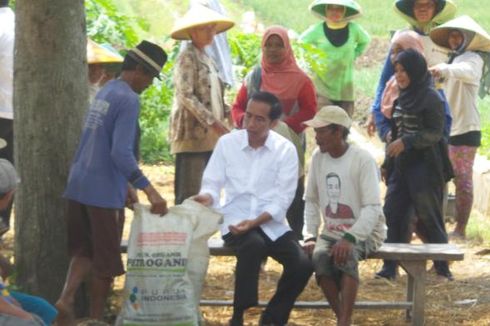 Jokowi Bawa Sekarung Daun Bawang Penuh Ulat dari Petani Brebes