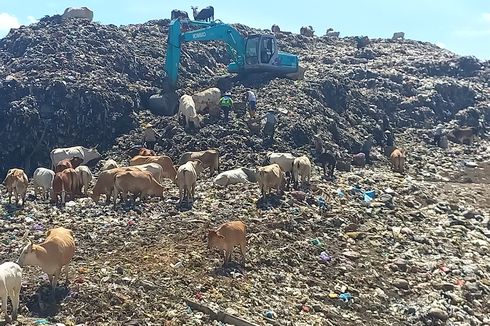 Pemerintah DIY Batalkan Rencana Pembelian Alat Pengelolaan Sampah di TPA Piyungan