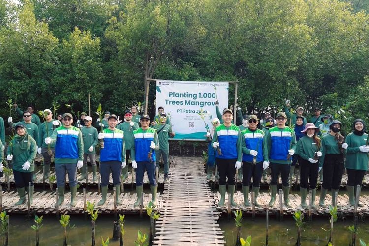 Patra Jasa Tanam 1.000 Mangrove untuk Dukung Ketahanan Pesisir