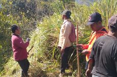 Lahan Hutan Seluas 8 Hektar di Gunung Wilis Kediri Terbakar