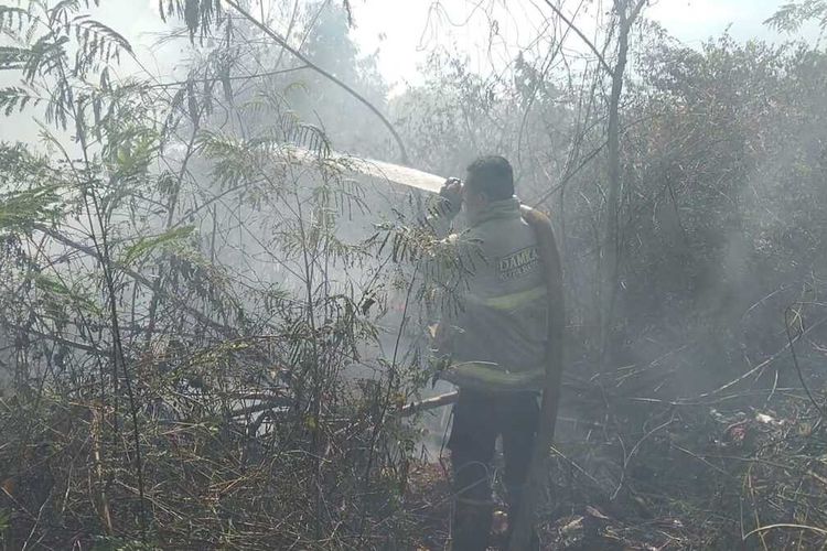 Asap Membumbung, Lahan Kosong Samping Kantor Wali Kota Baubau Terbakar