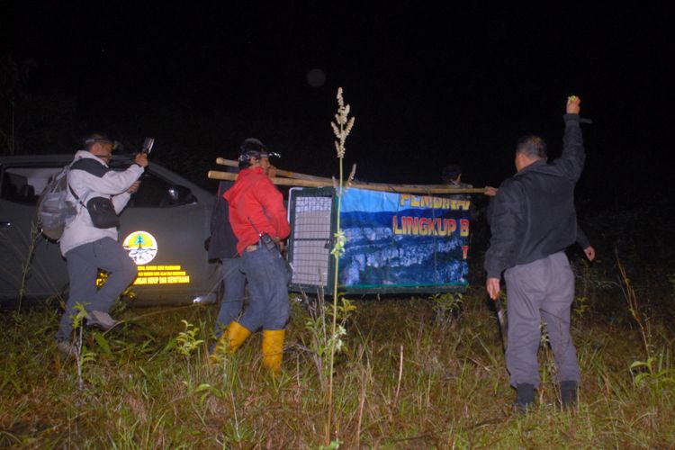 Para petugas menggotong kandang yang di dalamnya terdapat seekor anak macan tutul saat proses pelepasliaran di Taman Nasional Gunung Gede Pangrango, Sukabumi, Jawa Barat, Kamis (17/5/2018).