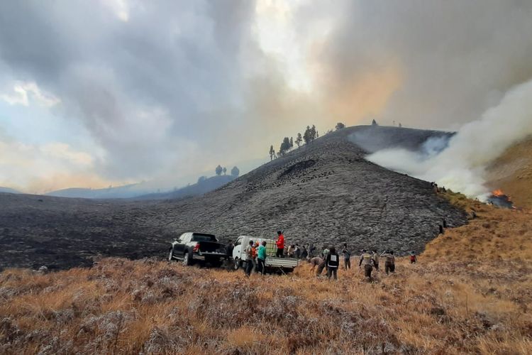 Tim gabungan saat melakukan pemadaman kebakaran di kawasan BB TNBTS akibat flare yang dibawa pasangan preweding, Selasa (5/9/2023).