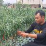 Peserta Program Petani Milenial Jabar Mengaku Dirugikan dan Didatangi Pihak Bank, Pemprov Jabar Angkat Bicara