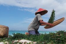 Pandawa, Pantai Tersembunyi di Balik Tebing