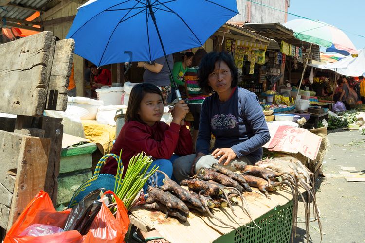 Ilustrasi penjual tikus hutan di Pasar Tomohon, Sulawesi Utara. 