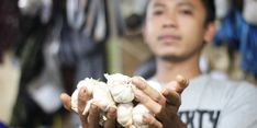 Harga Bawang Putih dan Bombai Naik, Kemendag Bebaskan Sementara Izin Impor Keduanya 