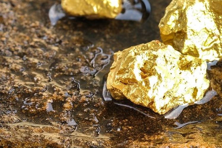 Ilustrasi tambang emas. 