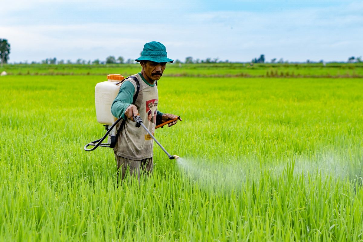 Perpres tentang Lahan Pertanian Pangan Berkelanjutan (LP2B) dibutuhkan untuk menghentikan alih fungsi lahan pertanian dan luas bahan baku sawah yang setiap tahunnya tercatat menyusut seluas 120 ribu hektar