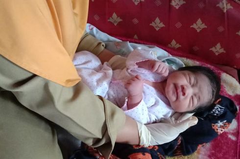 Cari Kayu Bakar, Warga Temukan Bayi Perempuan Tak Berpakaian di Tengah Sawah