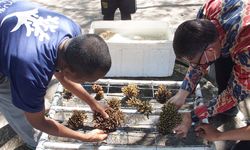 Tingkatkan Kesejahteraan Masyarakat, Kementerian KP Gelar Pelatihan “Nilai Tambah Ikan dan Produk Perikanan”