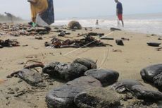 Bongkahan Batu Bara yang Terbawa Arus Kotori Pesisir Aceh Barat