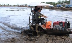 Maksimalkan Program Food Estate dengan Alsintan, Kementan Akan Libatkan Milenial