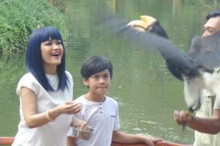 Julia Perez bermain bersama burung-burung atraksi di Faunaland, Ancol, Jakarta Utara, Jumat (15/7/2016).