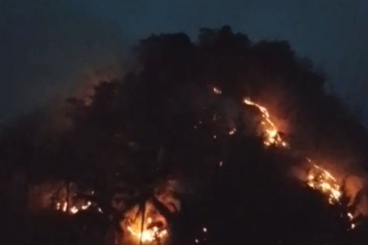 Karhutla di Cianjur Melonjak Drastis, Telan Satu Korban Jiwa