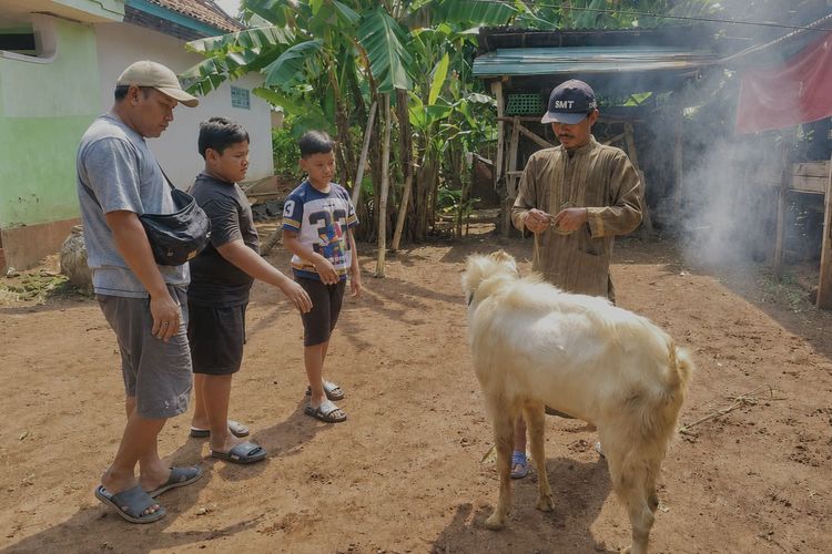 Nabung Rp 3.000 per Hari, Bocah Kelas 3 SD di Bangkalan Beli Kambing Kurban