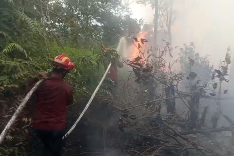 Karhutla di Siak Nyaris Capai SMAN 2 Tualang Riau, Pemadaman Dibantu Water Bombing