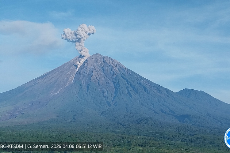 Gunung Semeru Alami 6 Kali Erupsi Senin Pagi, Letusan Asap 1.100 Meter