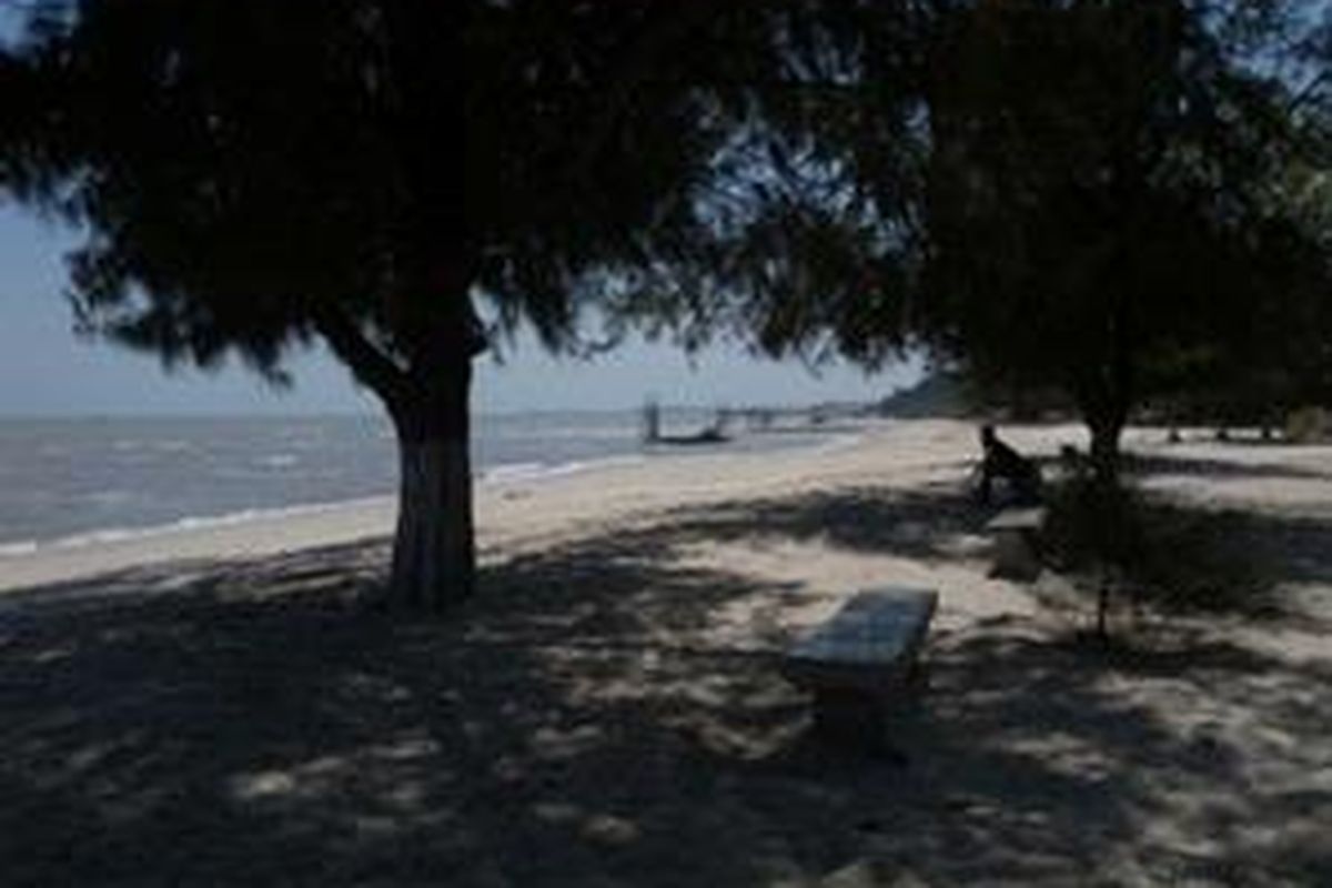 Pohon cemara membuat kawasan di sekitar pantai Pongkar menjadi teduh meski sinar matahari begitu terik di siang hari.