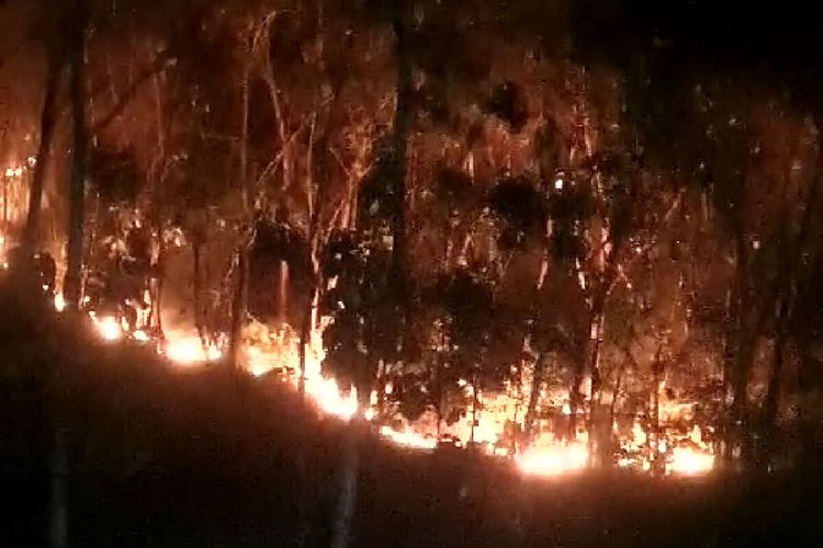 Kebakaran hutan terjadi di dua bukit di dua lokasi berbeda di Kecamatan Ponggok dan Kecamatan Sutojayan, Kabupaten Blitar, Sabtu (9/9/2023) malam.