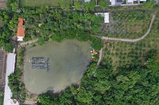Taman Hutan Raya dan Kebun Raya Mangrove di Surabaya Siap Dibuka, Pemkot Tunggu Regulasi Inmendagri
