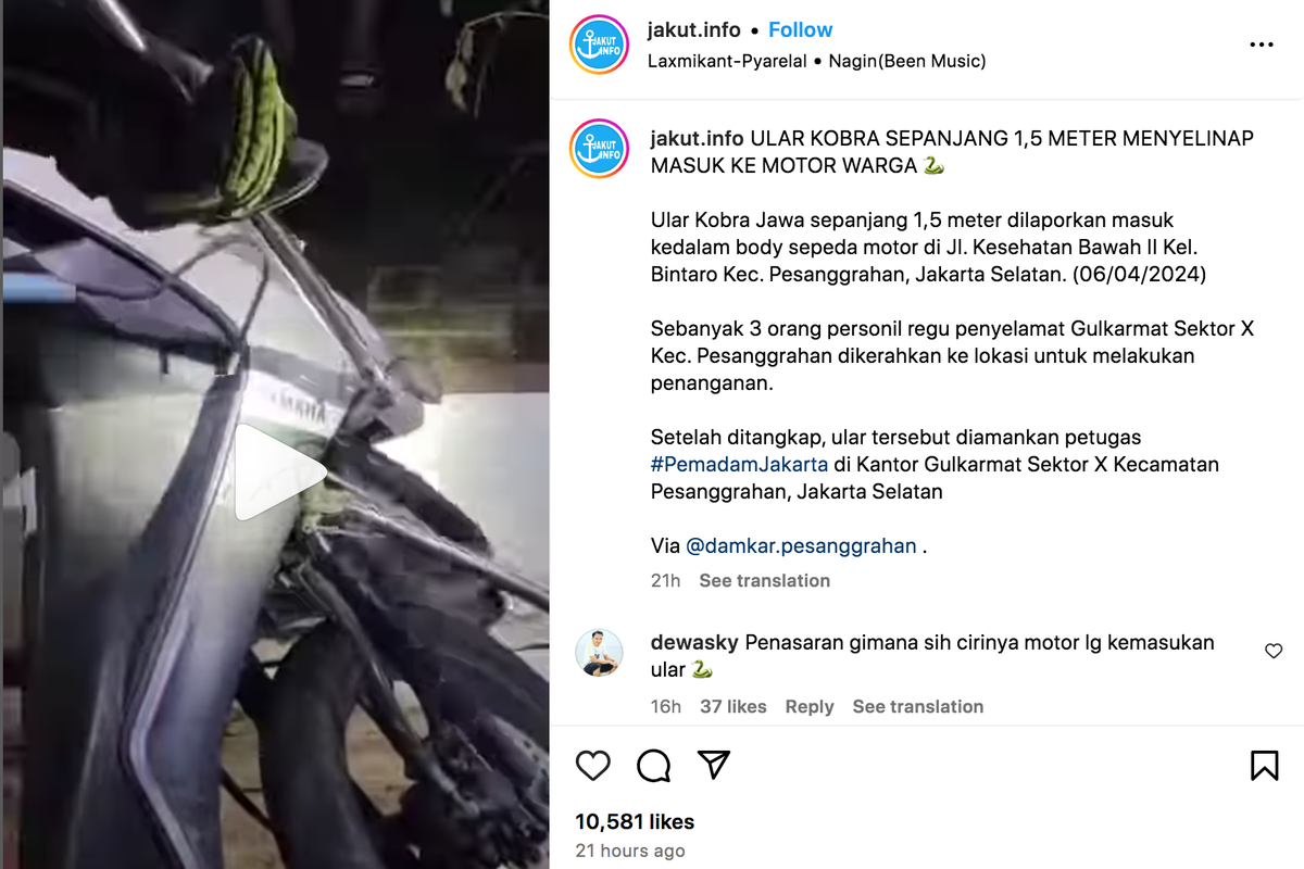 Ular masuk ke bodi motor matik