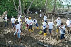 Mitigasi Perubahan Iklim, PLN Batam Tanam 500 Bibit Mangrove