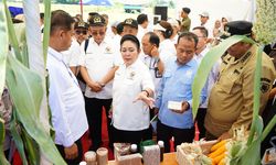 Ketahanan Pangan Menguat, Mentan Amran Tuai Apresiasi Komisi IV DPR RI