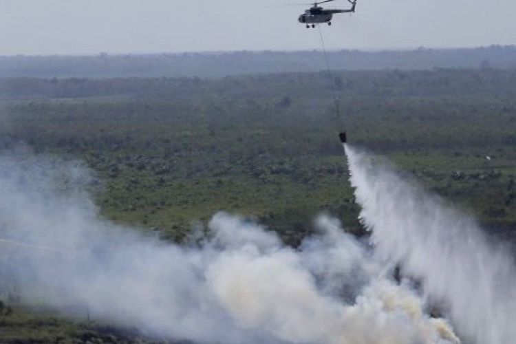 17 Kabupaten/Kota di Sumut Dikepung Asap, Jarak Pandang Hanya 1 Km sampai 4 Km 