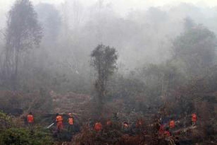 Petugas pemadam kebakaran, rangers, tentara dan aktivis lingkungan memadamkan kebakaran hutan di Kampar, Riau, 8 September 2015. Kabut asap dari kebakaran hutan di Indonesia, mengakibatkan pembatalan penerbangan dan peringatan bagi warga untuk tetap tinggal di dalam rumah.