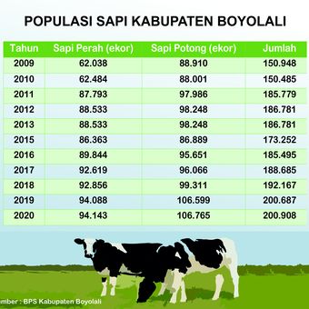 Infografis populasi sapi di Kabupaten Boyolali.