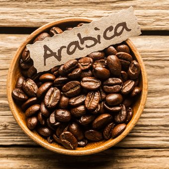 Ilustrasi kopi arabica