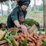 Jajan di Pasar Kuliner Desa Lerep, Harus Tukar Koin Kayu