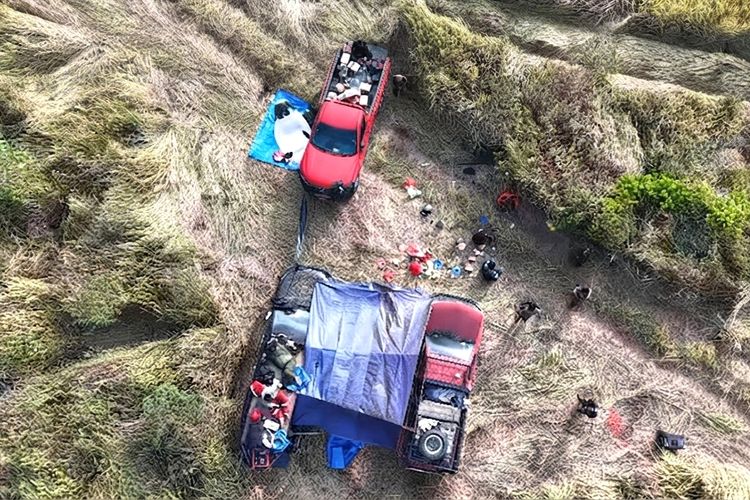 Api TN Way Kambas Padam, Petugas Tetap Bermalam di Hutan Cegah Kebakaran Kembali