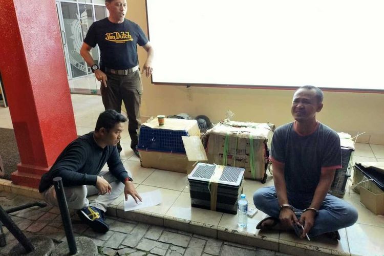 Direktur Reserse Kriminal Khusus Polda Riau, AKBP Andri Setiawan (berdiri) dan anggotanya saat mengamankan seorang pelaku penyelundupan satwa dilindungi dari Malaysia ke Indonesia, Sabtu (14/12/2019).