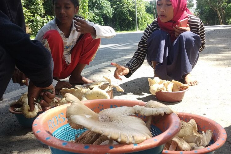 Suasana penjual jamur di jalan pariwisata Mandalika