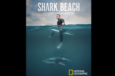 Sinopsis Shark Beach with Chris Hemsworth, Segera di Disney+ Hotstar