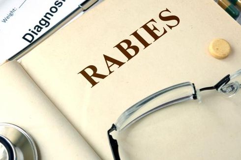 Pertama dalam 20 Tahun, 2 Bocah Tewas akibat Rabies di Malaysia