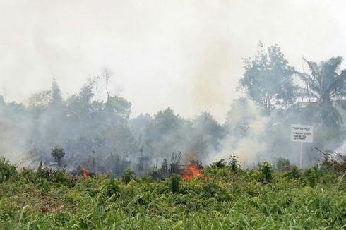Dua Hektar Lahan di Sekitar Permukiman di Pekanbaru Terbakar, Warga Panik