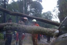 Hujan Lebat Disertai Angin di Bandung, Puluhan Pohon Tumbang