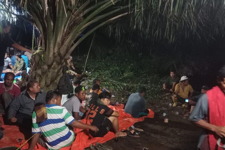 Detik-detik Pria 61 Tahun Tarik-menarik dengan Buaya Saat Cari Lokan di Pasaman Barat, Korban Hilang