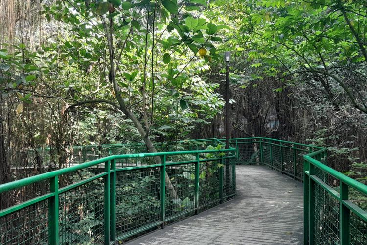 Jalur yang bisa digunakan untuk berolahraga di Hutan Kota Babakan Siliwangi