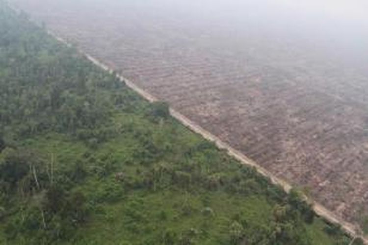 Pembukaan hutan gambut yang berbatasan dengan perkebunan kelapa sawit di Kabupaten Kubu Raya, Kalimantan Barat, Minggu (20/9/2015). Kebakaran terpantau melalui patroli udara Badan Nasional Penanggulangan Bencana.