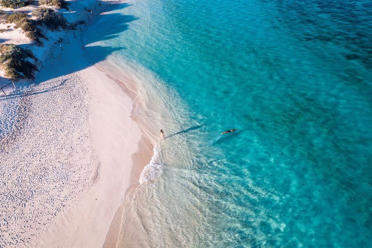 Menjadi rumah bagi lebih dari 500 spesies ikan tropis, salah satunya hiu paus, Ningaloo Reef menyuguhkan ragam wisata bahari yang menyenangkan bagi turis yang berlibur ke Australia Barat. 