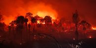 Karhutla Landa Tahura Bukit Soeharto IKN, 100 Hektar Lahan Terbakar dan Akses Pemadam Terhalang Medan