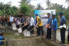 Komisi IV DPR Dorong Pengembangan Budidaya Ikan 