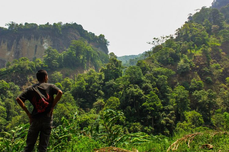 Seorang warga Desa Kramat mengamati habitat burung garuda dan owa jawa di Kompleks Hutan Perhutani Gunung Buthak, Kecamatan Karangmoncol, Purbalingga, Jawa Tengah, Senin (18/9/2017)