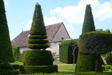 Percantik Taman Rumah dengan Karya Topiary
