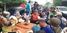 Harga Ayam Anjlok, Pemerintah Siap Beli Ayam Peternak Rakyat di Jatim