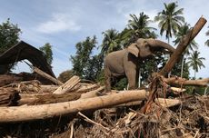 Psikolog Ungkap Kondisi Mental Anak yang Bunuh Ibu di Medan